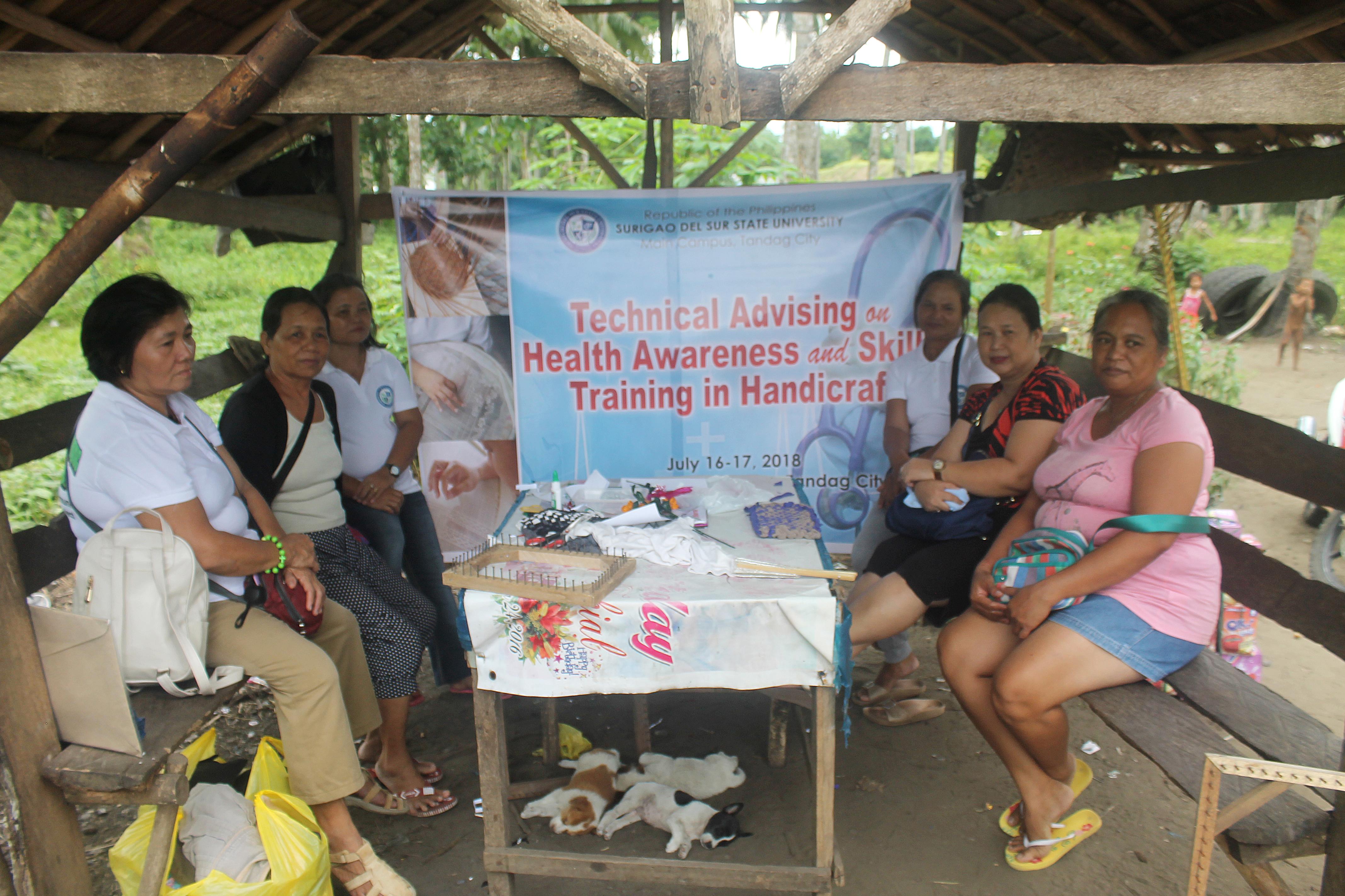 Technical Advising on Health Awareness and Skills Training in Handicraft